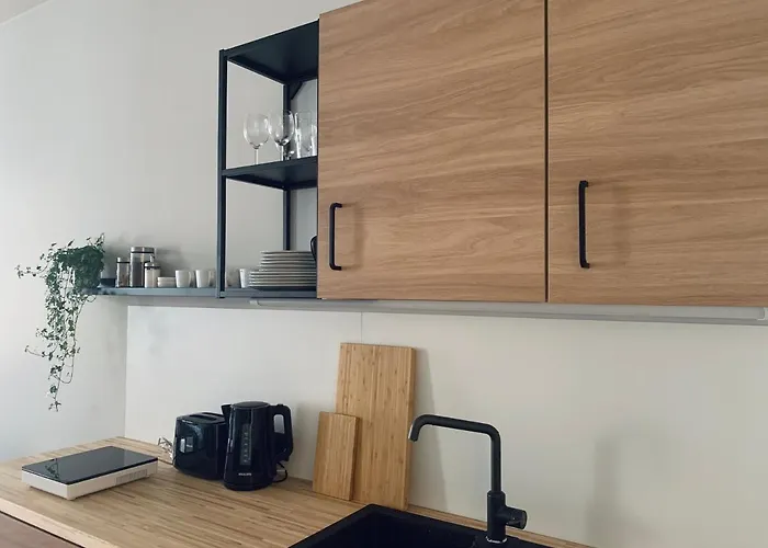 Daire Stylish New In Old Town - Centre, Self Check-in, Walkable To Major Attractions Riga